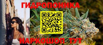 мдма Кингисепп