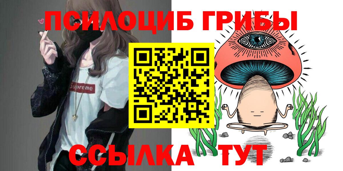 Галлюциногенные грибы Cubensis Махачкала