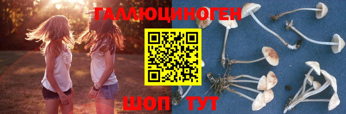 КОКАИН Махачкала