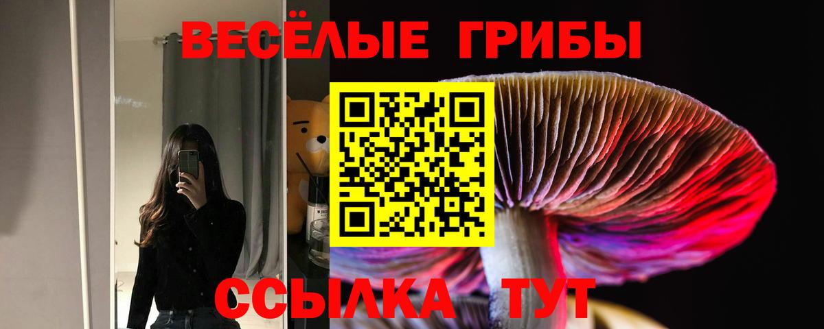 Махачкала  Экстази  Cocaine  Вход с VPN  Гашиш  Мефедрон   МАРИХУАНА  МЕФ 