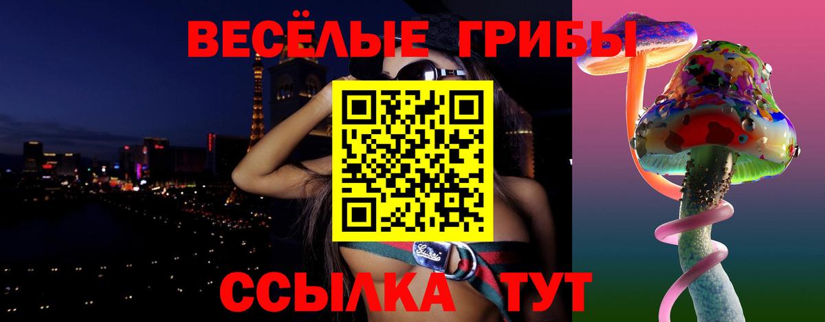 Махачкала  Галлюциногенные грибы Psilocybe  Вход с VPN 